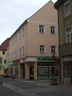Gemütliche 2-Raum-Wohnung im Zentrum von Pirna