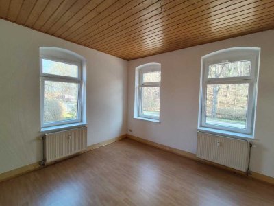 Ansprechende 2- Raum Wohnung Erdgeschoß Pirna