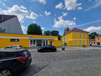 1-Zimmer-Appartment mit großer Wohnküche - frisch renoviert/saniert
