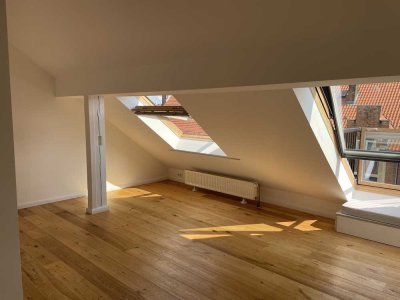 Lichtdurchflutetes, saniertes Mini-DG-Loft mit Stadtblick – Warmbüchenviertel / Aegi Hannover frei