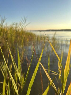 Traumhaftes Einfamilienhaus nahe dem Starnberger See