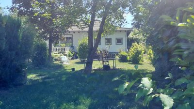 Einfamilienhaus mit großem Grundstück in Gau-Bischofsheim