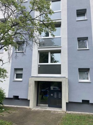 Neu renovierte 3-Zimmer-Wohnung