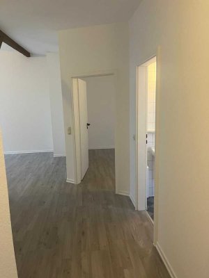 Großzügige frisch renovierte Dachgeschosswohnung