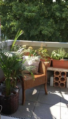 zentrale 1-Zimmer-Wohnung mit Balkon, Küche und Stellplatz in Münster