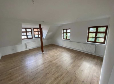 Sanierte 2-Raum-Wohnung mit Einbauküche in Braunschweig