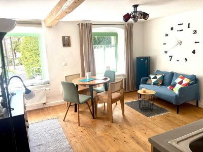 Möblierte, stilvolle EG-Wohnung direkt am Fluss Regen