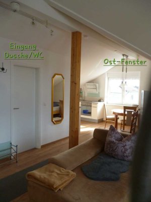1-Zi-Apartment 50m2, in ruhiger Wohnlage von Hohberg an Einzelperson ab September zu vermieten