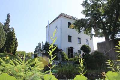 Wohnen, Retreats, Atelier oder Herzensprojekt Einstige Mühle mit Naturgarten am Rande der Dübener He