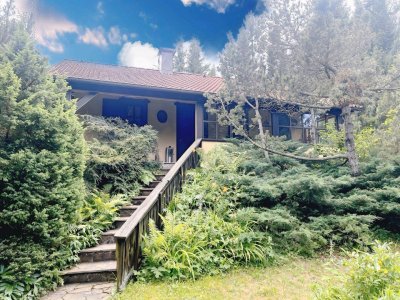 Ihr Rückzugsort im Grünen - Charmantes Haus auf 1.700 m2 Naturparadies direkt auf der Hohen Wand-Maiersdorf