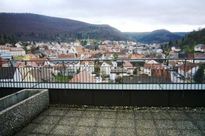 Penthouse  SINGLE  Wohnung  2 Zimmer im 8.OG mit Aufzug
