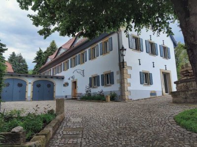 2,5 Zimmer Wohnung mit Einbauküche. Anspruchsvoll und individuell. Ruhige Lage mit Fernblick..