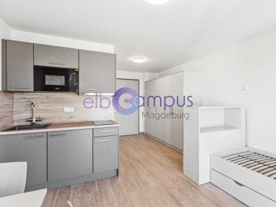 Ruhe zum Lernen! Dein möbliertes 1-Zimmer Apartment in der Nähe der Universität Magdeburg
