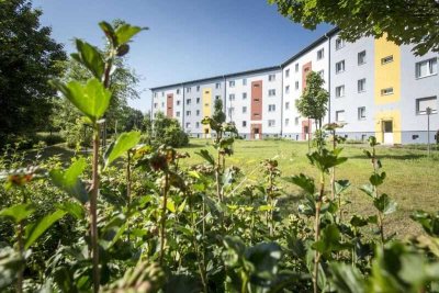 ruhig und im Grünen - wohnen in Neu Olvenstedt