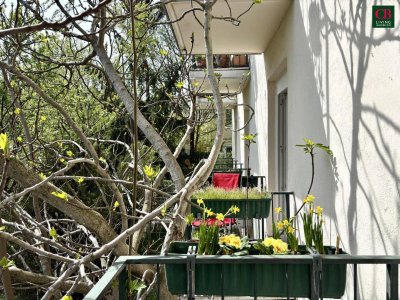 Ein Ort zum Durchatmen – Lichtdurchflutetes Refugium in Pötzleinsdorf