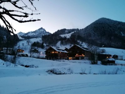 Feriendomizil im schönen Brandnertal (Brand)