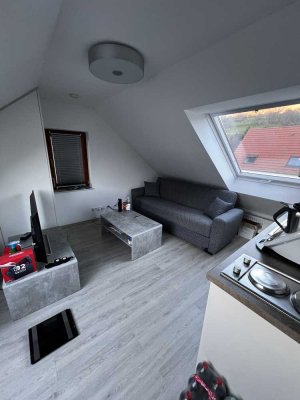 Ruhige, sonnig-helle 1 Zi-DG –Wohnung