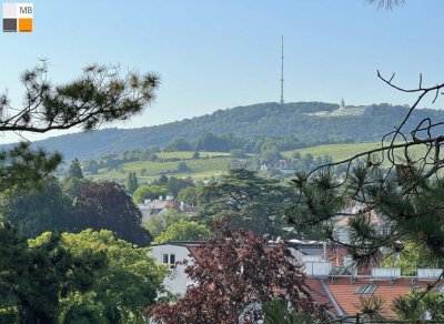 * Grünblick auf der Hohen Warte! *