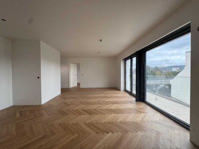ERSTBEZUG: 2-Raum-Wohnung mit EBK und Blick auf Mosel