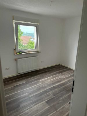 Neu sanierte 3 Zimmer Wohnung mit Balkon und Garten