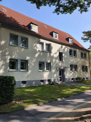 Frisch renovierte 3-Zimmer-Wohnung mit Gartennutzung in Gelsenkirchen-Buer