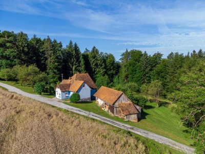 Haus mit großem Grund und Wald zur Miete