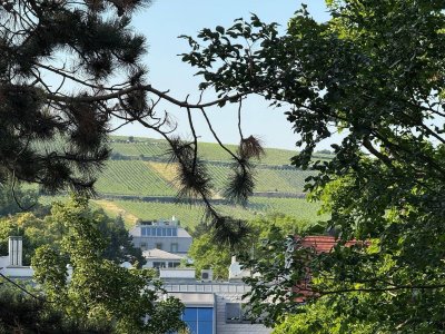 Wohnen im Grünen – Ihr Rückzugsort mit Blick über die Weinberge