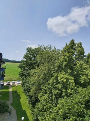 Stilvolle 2-Zimmer-Dachgeschosswohnung mit Balkon und EBK in Aalen