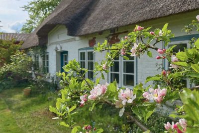Charmante und unverbaute Bauernkate unter Reet