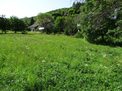 Großzügiges Bauernhaus an der Schweizer Grenze