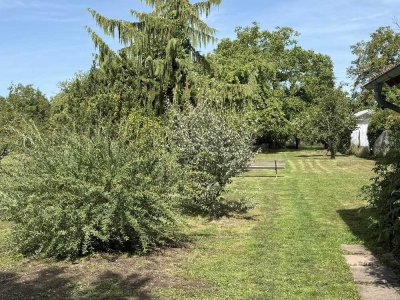 Grüne Oase mit Charakter - ruhig gelegen und stilvoll modernisiert