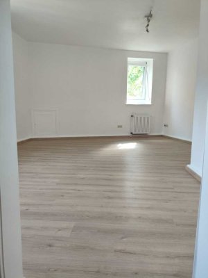 Neu renovierte 1 Zimmer Wohnung