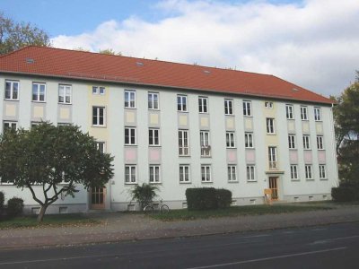 Gemütliche Altbauwohnung in zentraler Lage sucht Mieter!