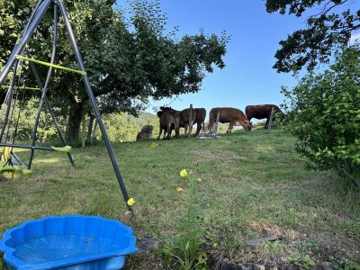 Vollständig modernisierte, sonnige Wohnung mit Balkon und Einbauküche in Stegen