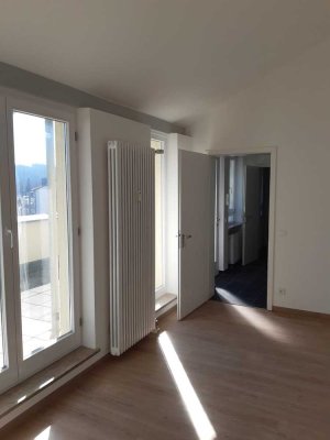 Helle Moderne 1 Zi Wohnung Dachterrasse renoviert