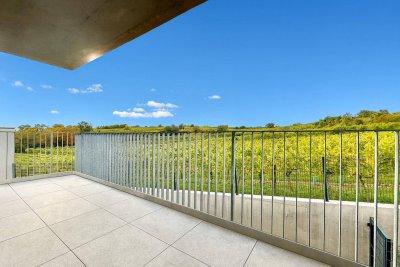 WOHNEN IM WEINGARTENPARADIES | Balkon | Erstbezug | 3 Zimmer | Ruhelage