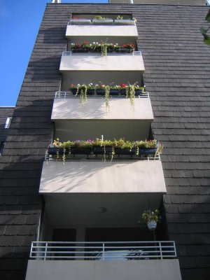 Attraktive, helle 2,5 Raum Wohnung in Gelsenkirchen-Bulmke