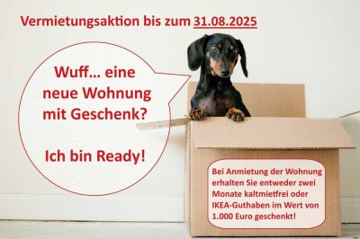*Sommeraktion bis 31.08.2025* Sanierte 4-Zimmerwohnung im Erstbezug mit Einbauküche & Balkon