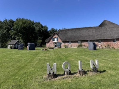 Wohnung im historischen Haubarg zu vermieten
