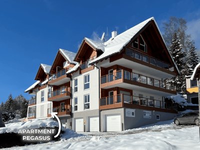 Luxus-Wohnung direkt an der Skipiste!