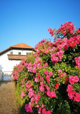 Große traumhafte Villa im Landhausstill mit Panoramablick, viel Diskretion und Potenzial, nah altem Ortskern im VIP-Thermen-Kurort.