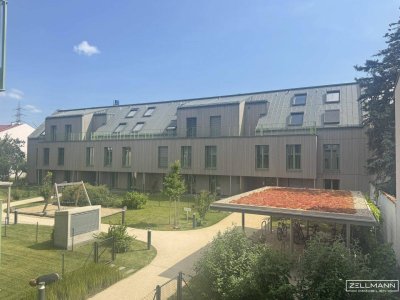 Dorf. Stadt. Oase. – Lebensqualität im Grünen | ZELLMANN IMMOBILIEN