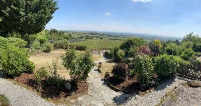 Ferienhaus mit einzigartigem Panoramablick an der Pfälzer Weinstraße