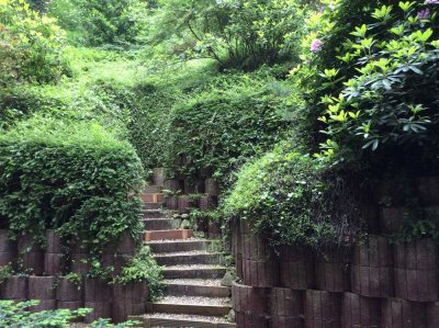 3-Zimmer Wohnung Nizzaallee