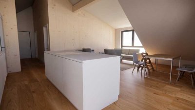 Exklusive 4-Raum-DG-Wohnung mit Balkon und EBK in Aspach