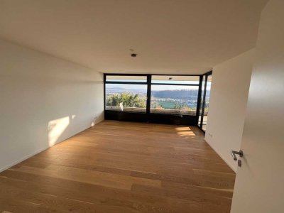 Großzügige 3-Zimmer-Wohnung mit Terrasse und Rheinblick in Waldshut