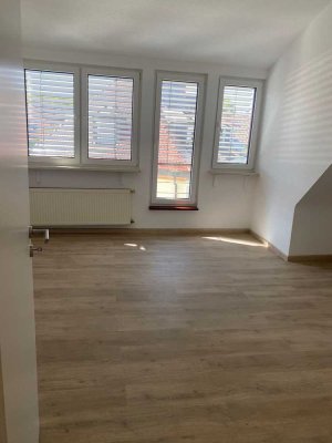 Erstbezug nach Sanierung mit Einbauküche: attraktive 1-Zimmer-Wohnung in Ludwigshafen