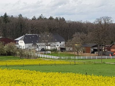 Schöne 4-Zimmer-Maisonette-Wohnung mit gehobener Innenausstattung EBK/2 Bäder/Garten bei Euskirchen