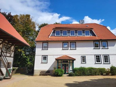 1-Zimmer Wohnung in Westerode/Bad Harzburg