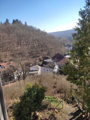 Sanierte 3,5-Zimmer-Wohnung mit Terrasse und EBK in Parkanlage